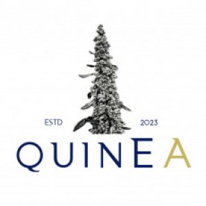 Foto de perfil de Quinea